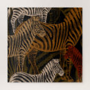 Search for zebra puzzles African