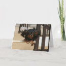 Search for cavalier king charles spaniel cards Black