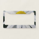 Search for daisy license plates Trendy