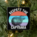 Search for capybara ornaments Animal