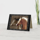 Search for equine holiday cards Colt
