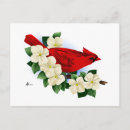 Search for tree postcards Wild