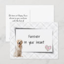 Search for pet loss postcards Sympathy