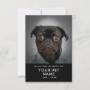 Search for pet condolences cards For pets