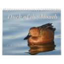 Search for duck calendars birds
