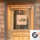 Search for funny window decals Colorful