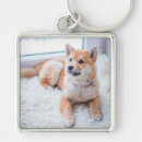 Search for puppy keychains modern