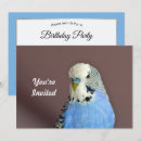 Search for parrot party invitations Blue