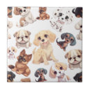 Search for dog tiles Modern