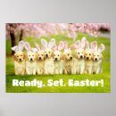 Search for bunny posters Funny