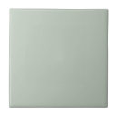 Search for mint green color tiles Simple