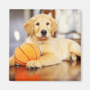 Search for golden retriever magnets Cute