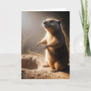 Search for groundhog day birthday cards Wildlife