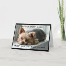 Search for pet sympathy cards Grief