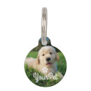 Search for photo pet tags Picture
