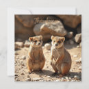Search for quokka cards Australian