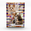 Search for glass photo blocks Colorful