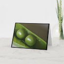 Search for pod cards Photography
