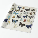 Search for nature wrapping paper Butterflies