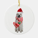 Search for great pyrenees ornaments Efl