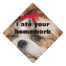 Search for pet graduation cap toppers Puppy