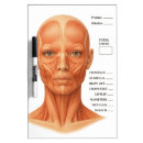 Search for medication dry erase boards Nurse