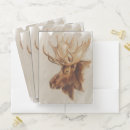 Search for animal folders Nature