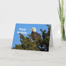 Search for eagle birthday cards Nature