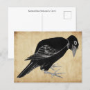 Search for album postcards Bird