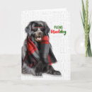 Search for newfoundland christmas cards Pets