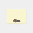 Search for dachshund gifts Cute