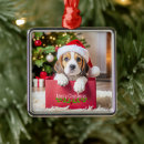 Search for beagle ornaments Festive
