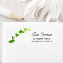Search for ivy return address labels Leaves