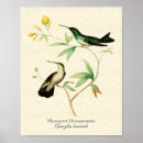 Search for abstract hummingbird art Botanical