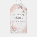 Search for quinceanera tags Pink