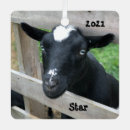 Search for buck and doe ornaments Animal