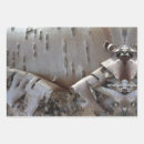 Search for birch bark wrapping paper Country
