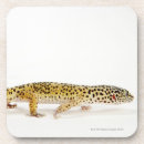 Search for leopard gecko gifts Reptiles
