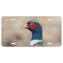 Search for hunting license plates Hunter