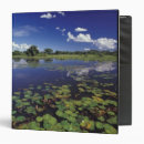 Search for padded binders Nature