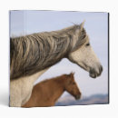 Search for horse photo binders Cowboy