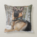 Search for german shepherd pillows Snow