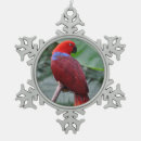 Search for parrot ornaments Animal