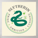 Search for slytherin posters Magic