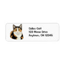 Search for calico cat return address labels Kitty