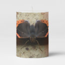 Search for butterfly candles Wildlife