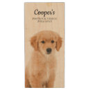 Search for cute usb flash drives Pets