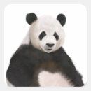 Search for panda stickers Fluffy