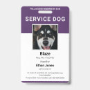 Search for purple badges Photo id