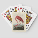 Search for flamingo playing cards Illustration